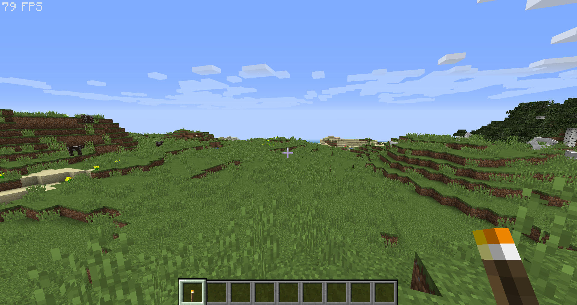 FPS Display