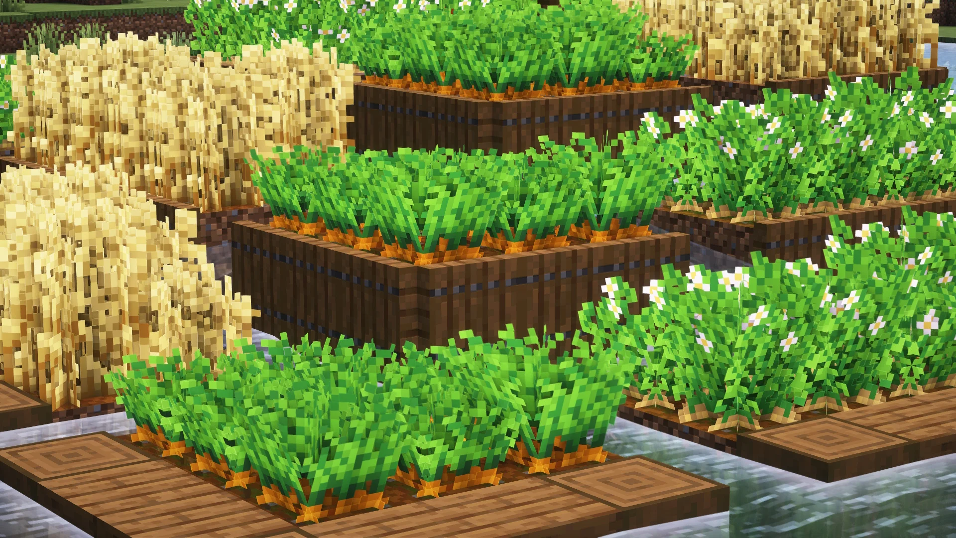 Fancy Crops