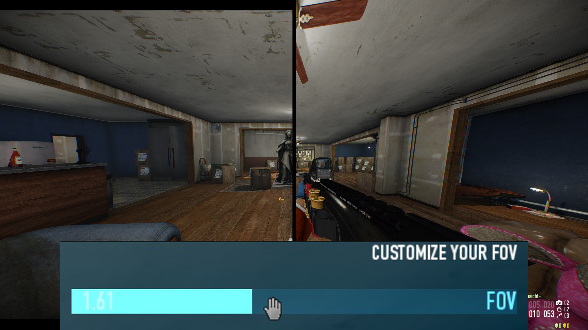 Custom FOV
